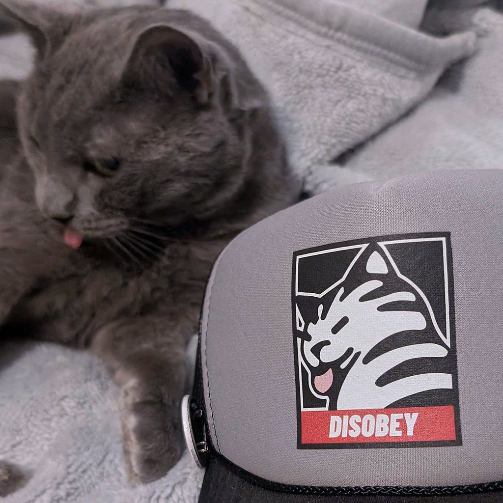 Disobey Cat Shepard Fairey Obey Parody Foam Trucker Snapback Hat